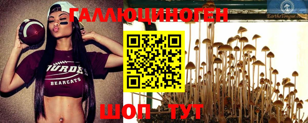 Чернушка  Галлюциногенные грибы мицелий  Вход с VPN 